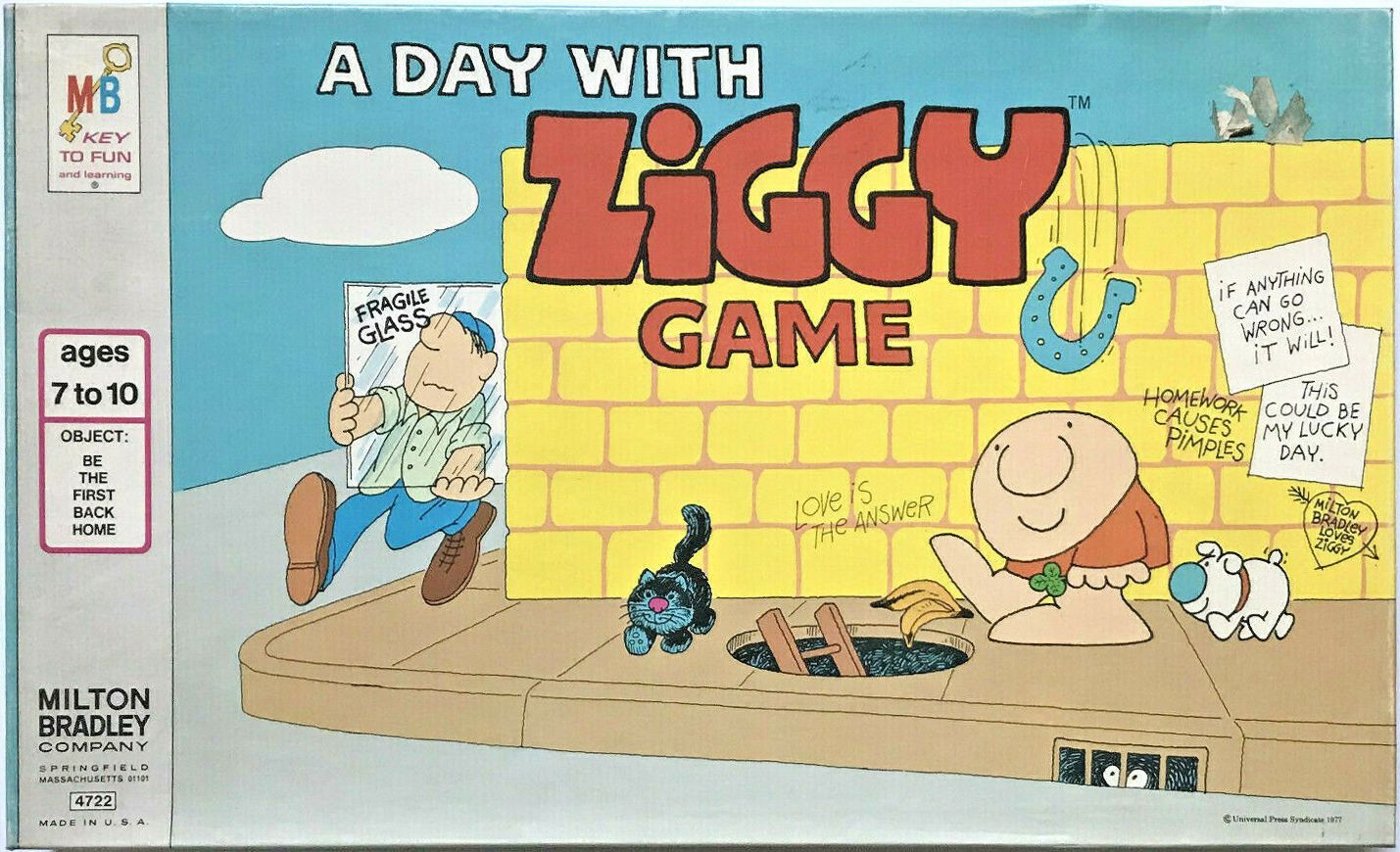A Day with Ziggy