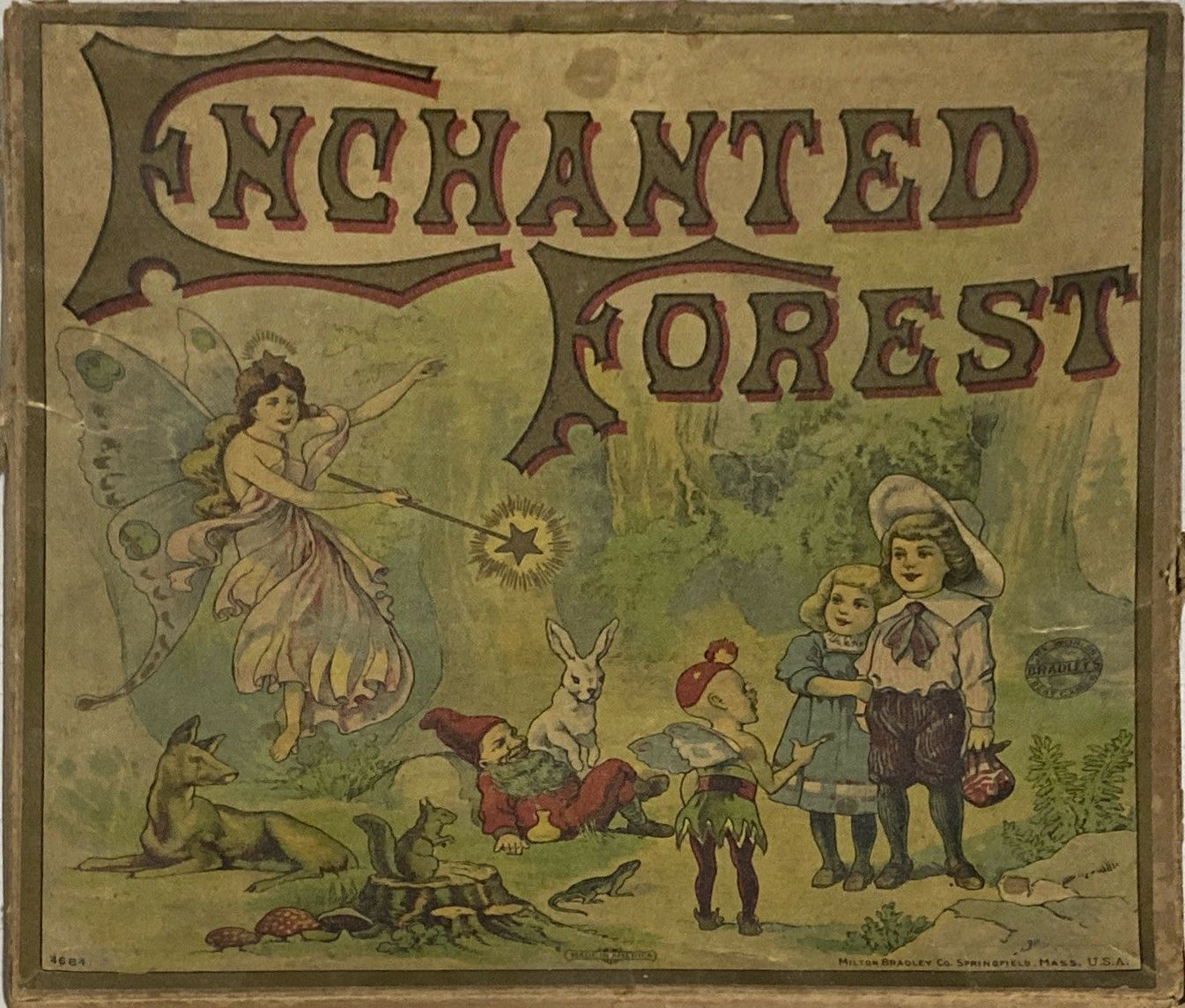 Enchanted Forest