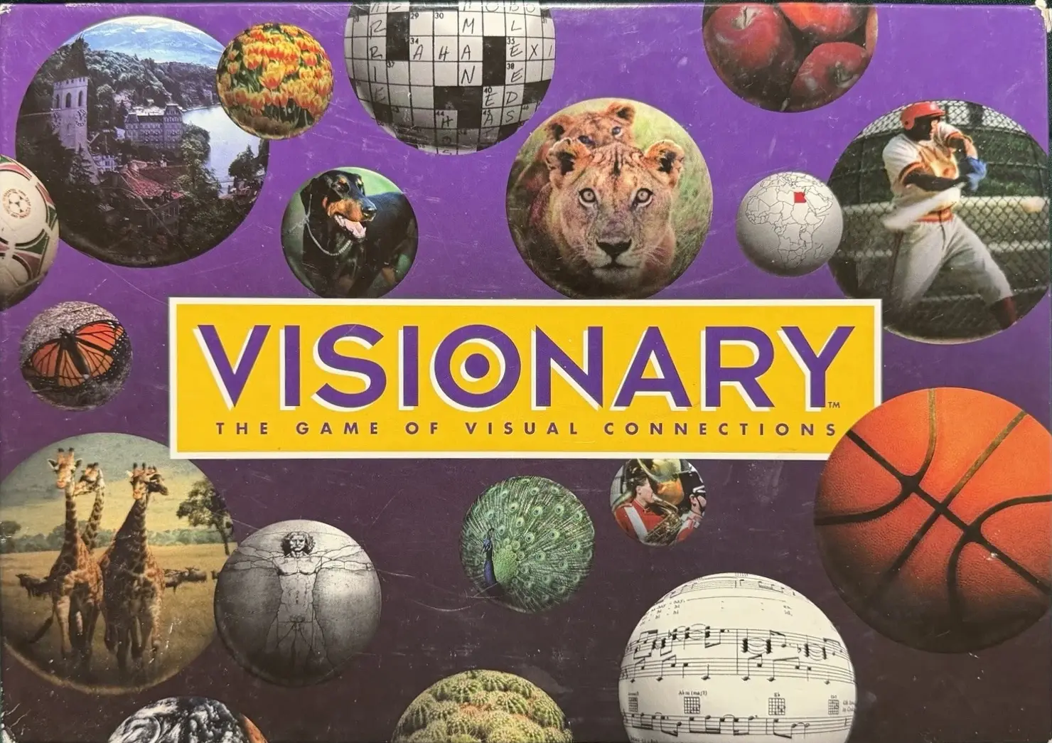 Visionary